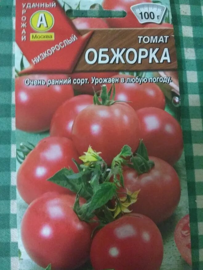 Томат обжорка. Томат обжорка. Томат обжорка характеристика. Томат скороспелка розовая. Томат обжора.