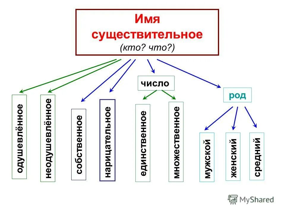 Существительное одушевленное собственное единственного числа. Существительное одушевленное собственное единственного числа