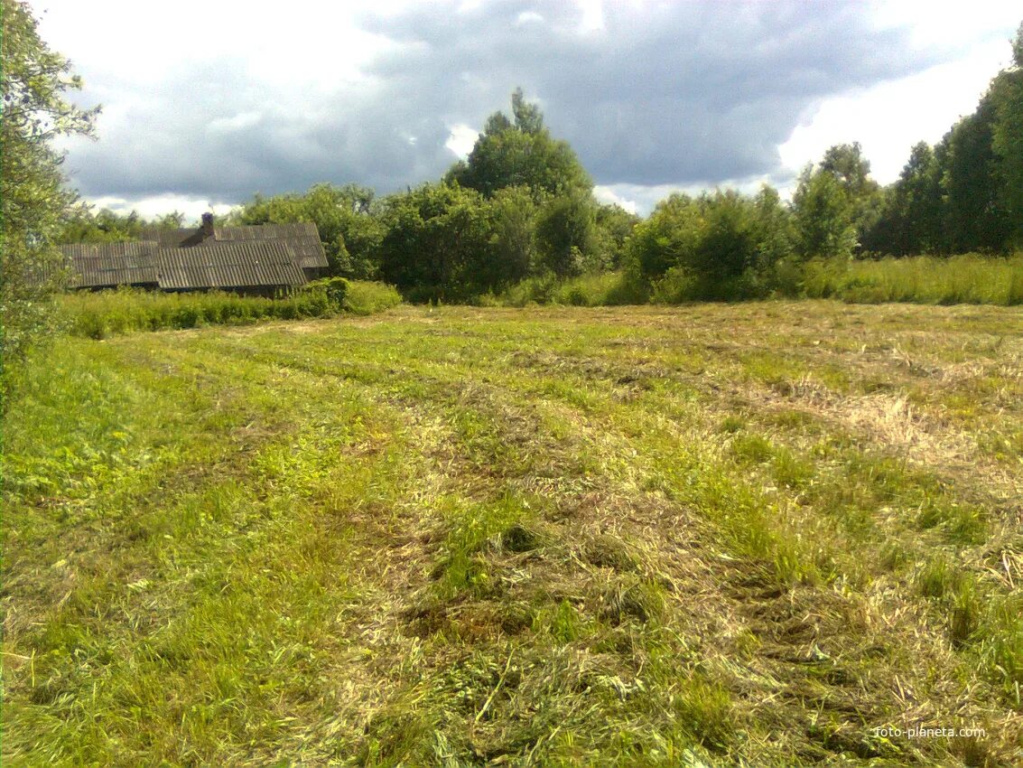 Тобольское заболотье в тюменской области. Заболотье новгородская область. Д заболотье раменский район. Деревня заболотье. Заболотье сергиево-посадский район.