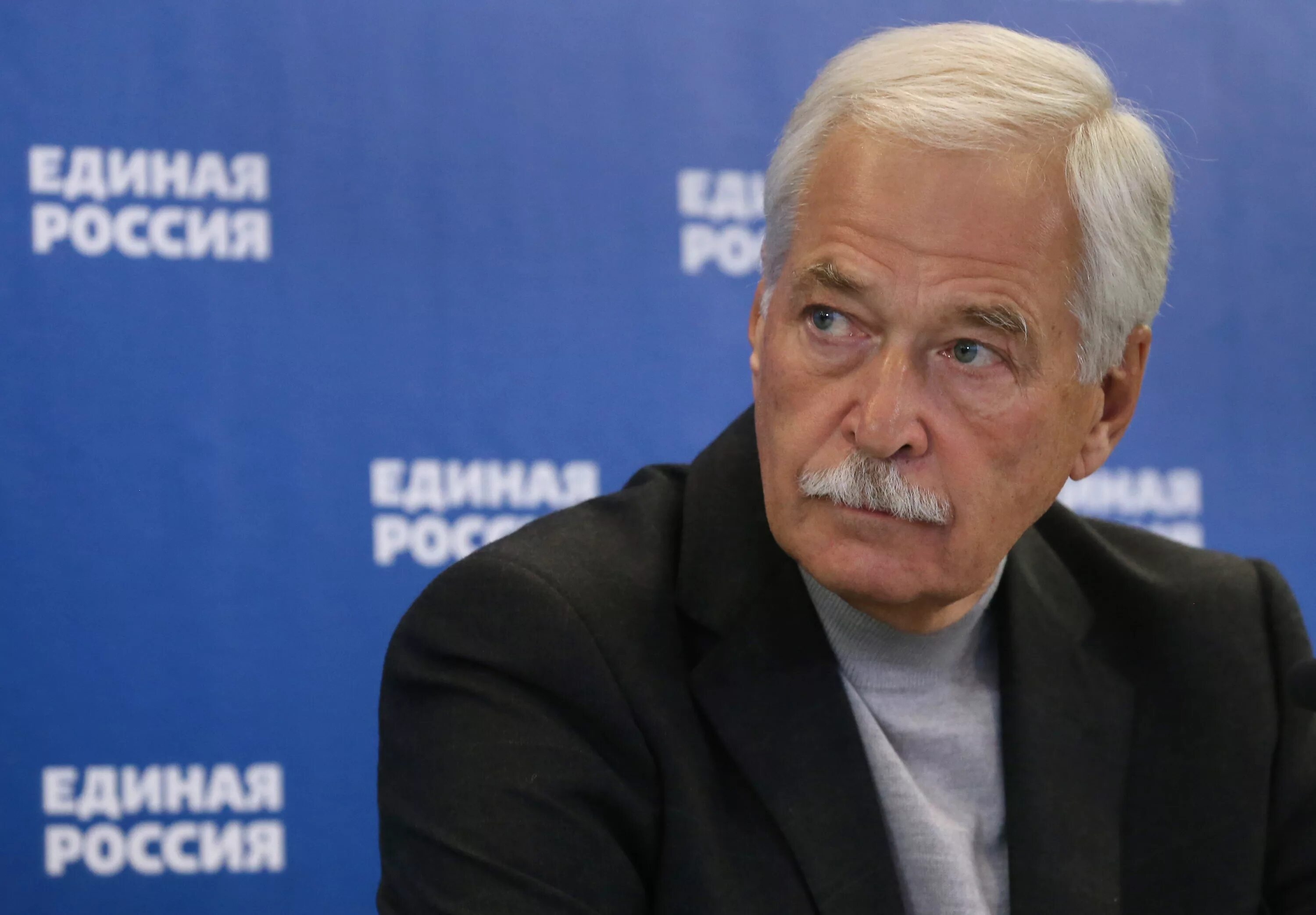 Председатель совета партии. Председатель совета партии