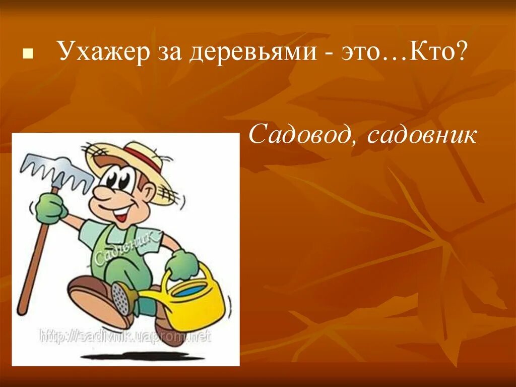 Чем полезна работа садовника обществу 4 класс. Сообщение о профессии садовник. Профессия садовник для детей. Садовод профессия доклад. Доклад садоводов.