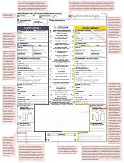 Бланк европротокола 2024