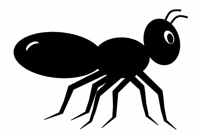 Как пользоваться ant