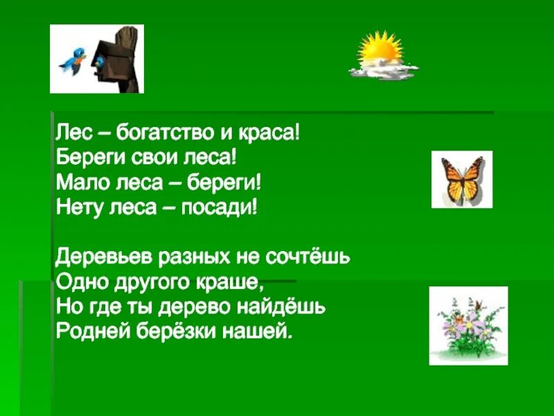 Песня берегите лес. Стихотворение берегите лес. стих на тему берегите лес. лес богатство и краса береги свои леса. стихи о лесе.