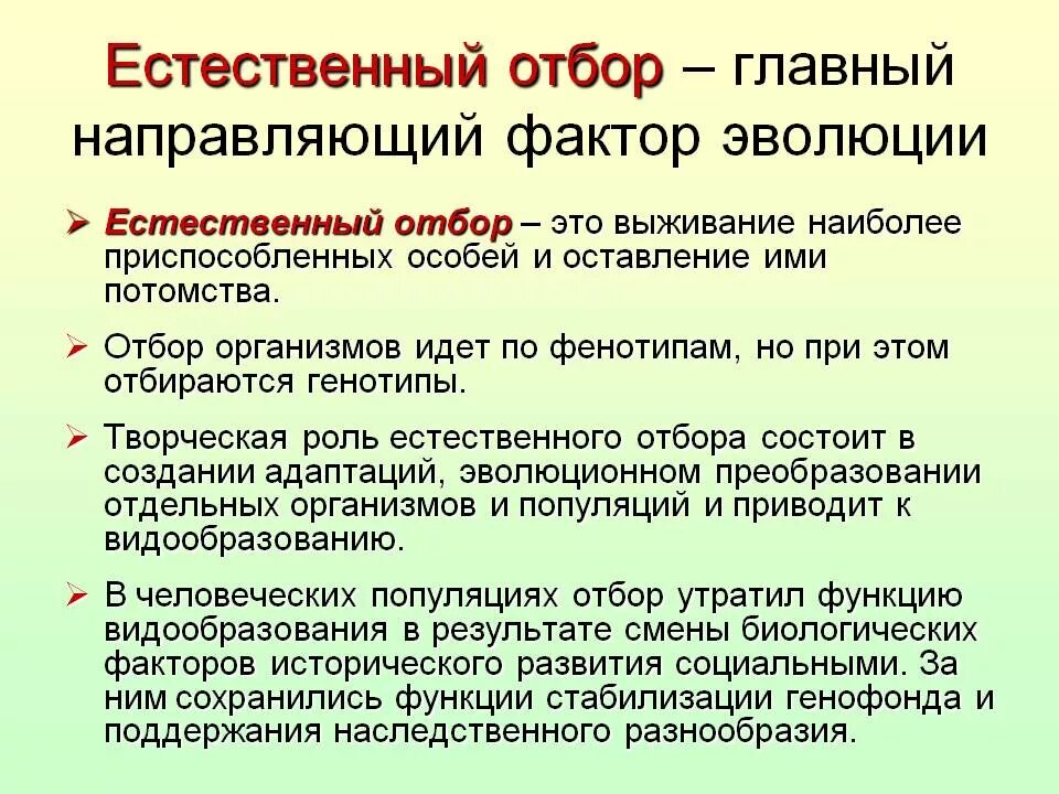 Основные признаки отбора. Естественный отбор. Естественный отбор направляющий фактор эволюции. Творческая роль отбора в эволюции. Понятие естественного отбора.