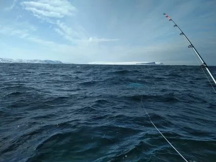 Рыбаки белого моря