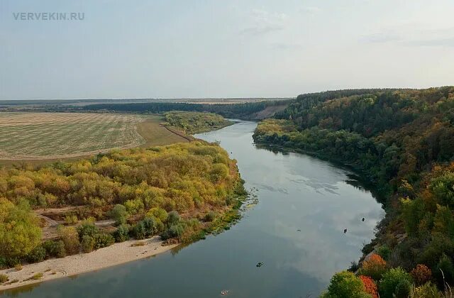 Кривоборье как доехать. Подкова реки дон кривоборье. река дон кривоборье. кривоборье воронеж.