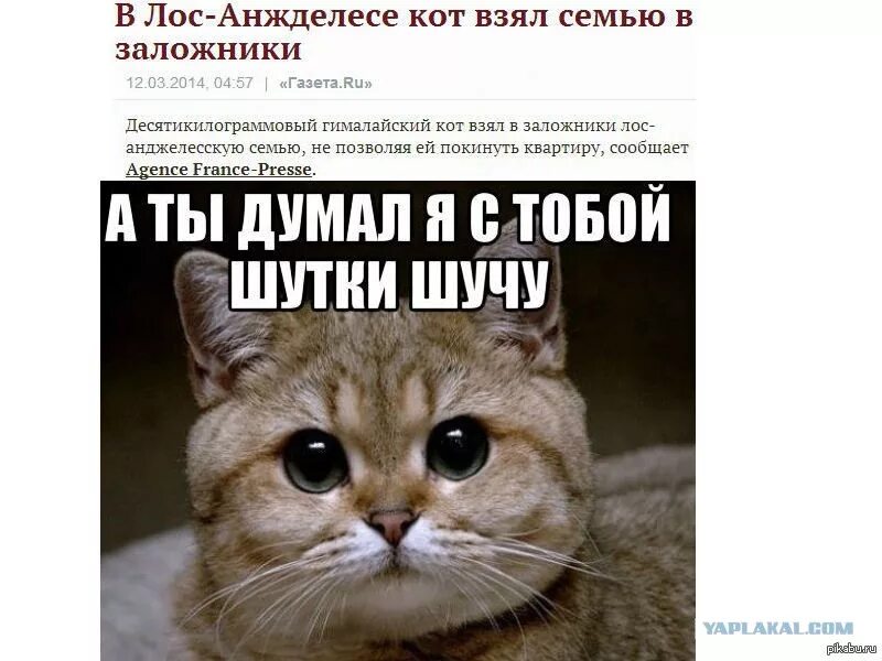 Шутки шутить