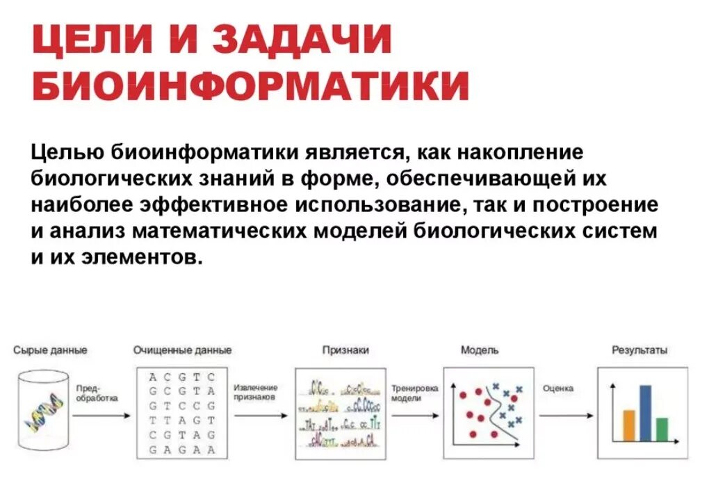 Суть биоинформатики. Задачи биоинформатики. основные задачи биоинформатики. биоинформатика презентация. биоинформатика цели.