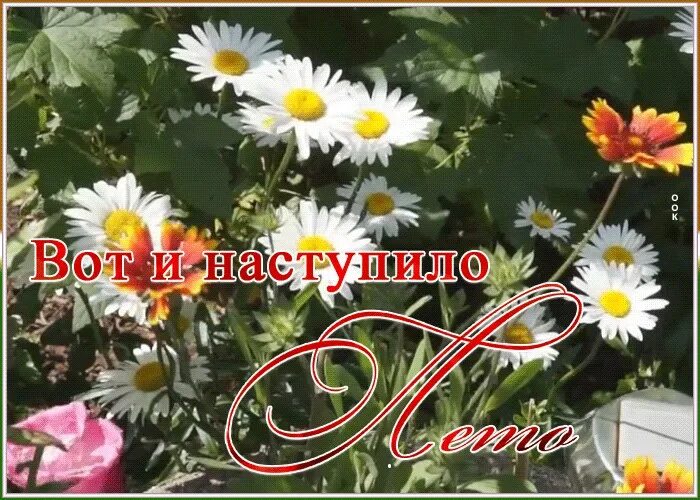 Пристрой в наличии. Теплого лета открытки. Вот и июль наступил. Наступило лето лето лето будем ждать. Мерцающие открытки с началом лета.