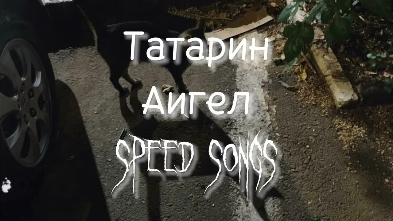 Татарин аигел speed up. Татарин аигел текст. а мой парень татарин. мой парень татарин песня.