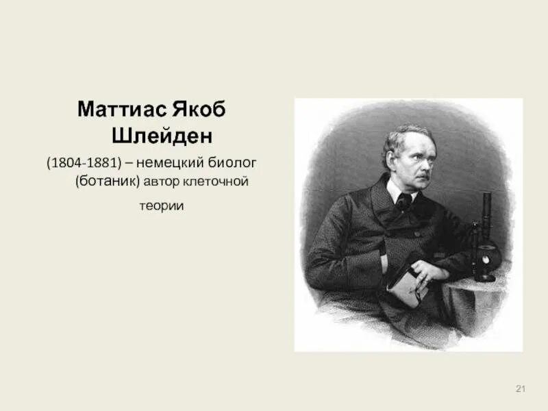 Маттиас шлейден немецкий ботаник. Маттиас шлейден портрет. Маттиаса якоба. Маттиас якоб шлейден (1804-1881). Маттиас шлейден портрет.