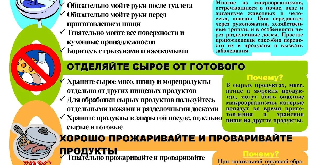 Буклет кишечные инфекции