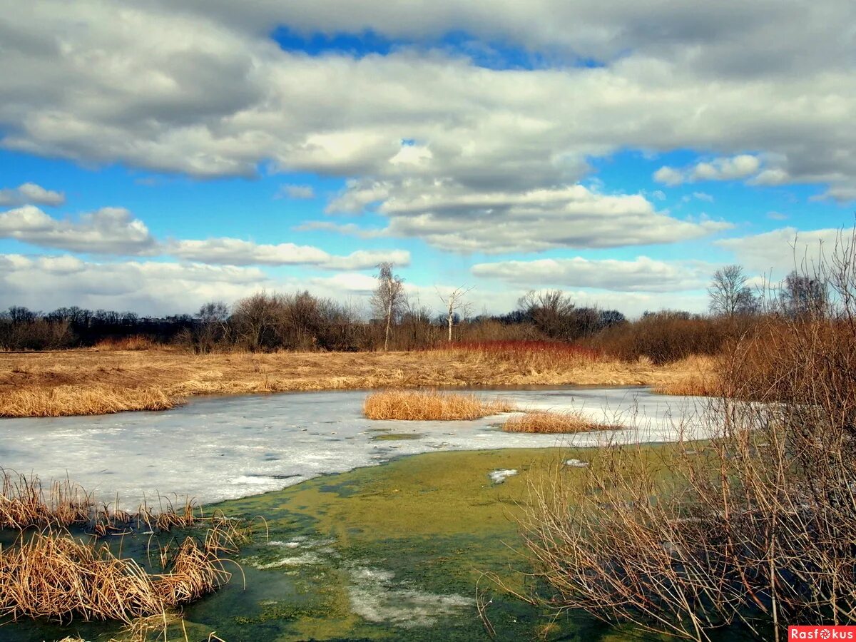 артемовские луга природа. артёмовские луга нижний новгород. нижний новгород артемовский. рыбалка в артемовских лугах нижний новгород. артемовские луга кстовский район.