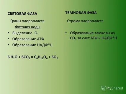 Синтез глюкозы образование надф 2н фотолиз