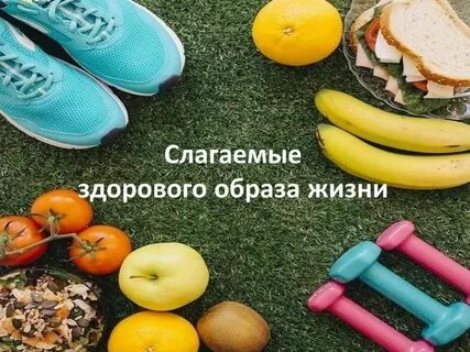 Слагаемые здоровья