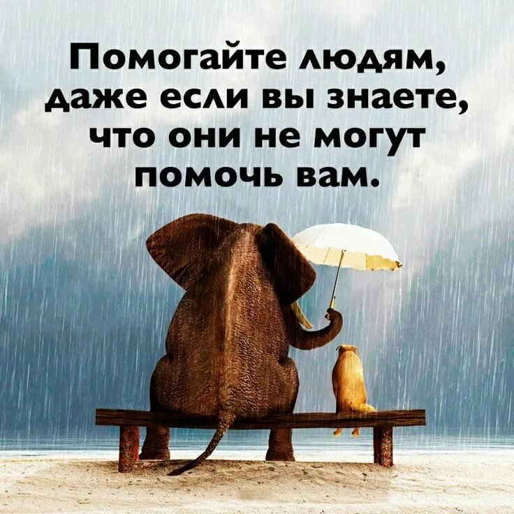 Цитаты о том что все будет