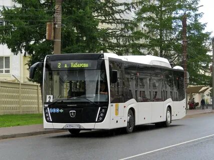 Автобус 800