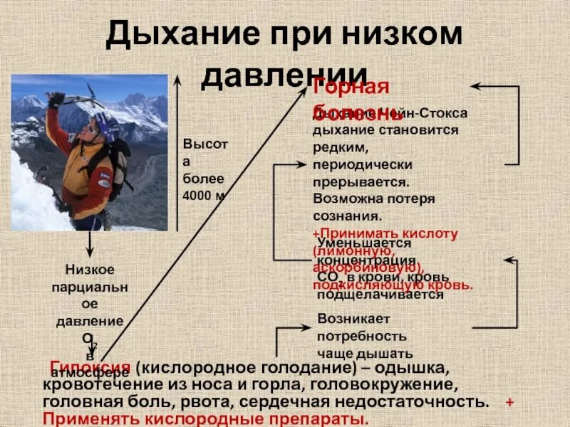 Снизить давление дыханием. Низкое давление причины. При низком давлении. Что делать при низком ад. Что сделать при нищком давлении..