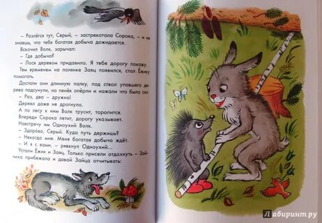 Серая тут