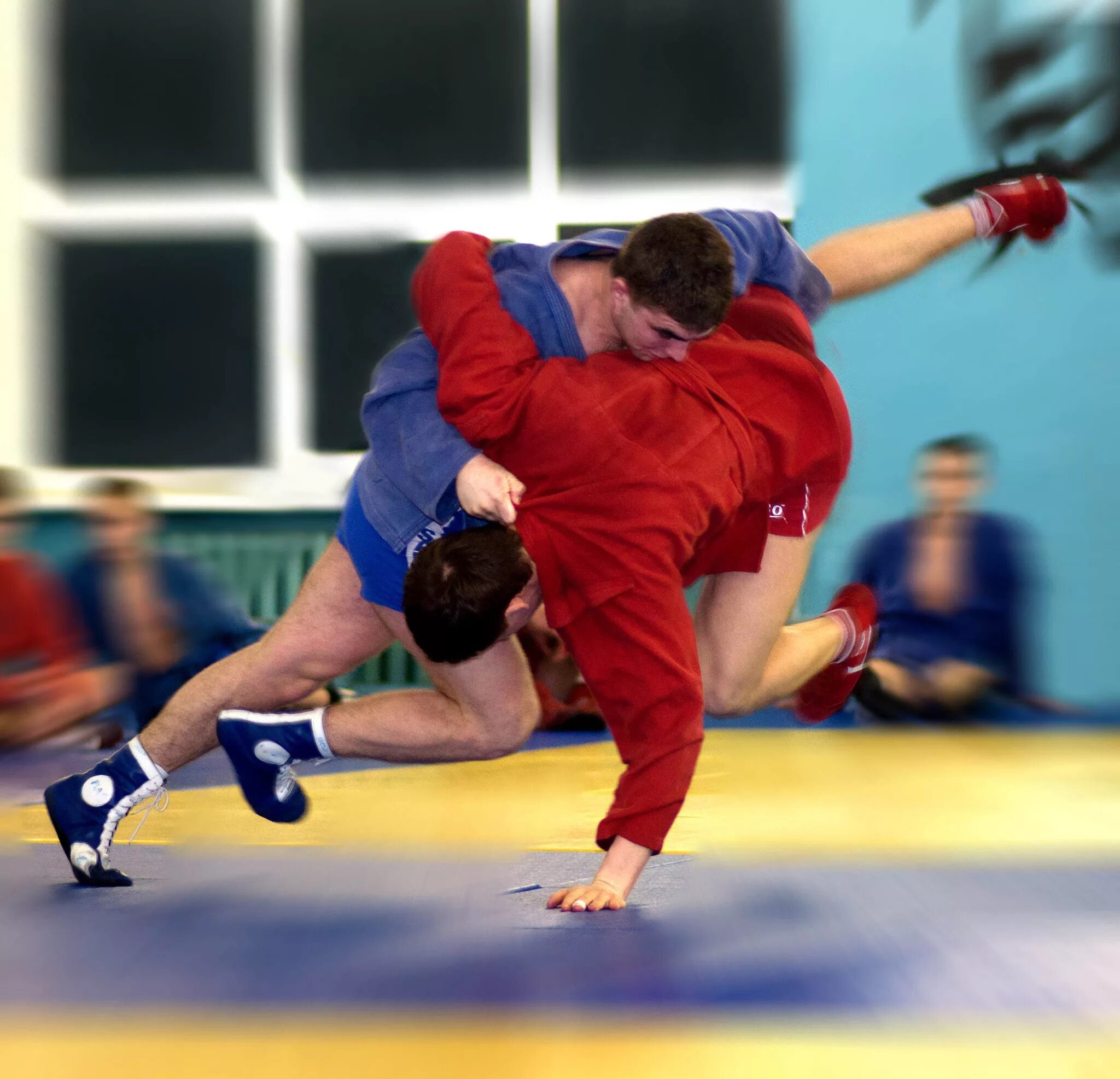 Мма грэпплинг. Мма соревнования. Грэпплинг. Смешанные единоборства юфси ммп. Онлайн борьба 2021 чемпионат европ.