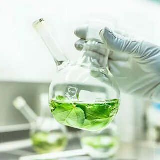 Chemical environment
