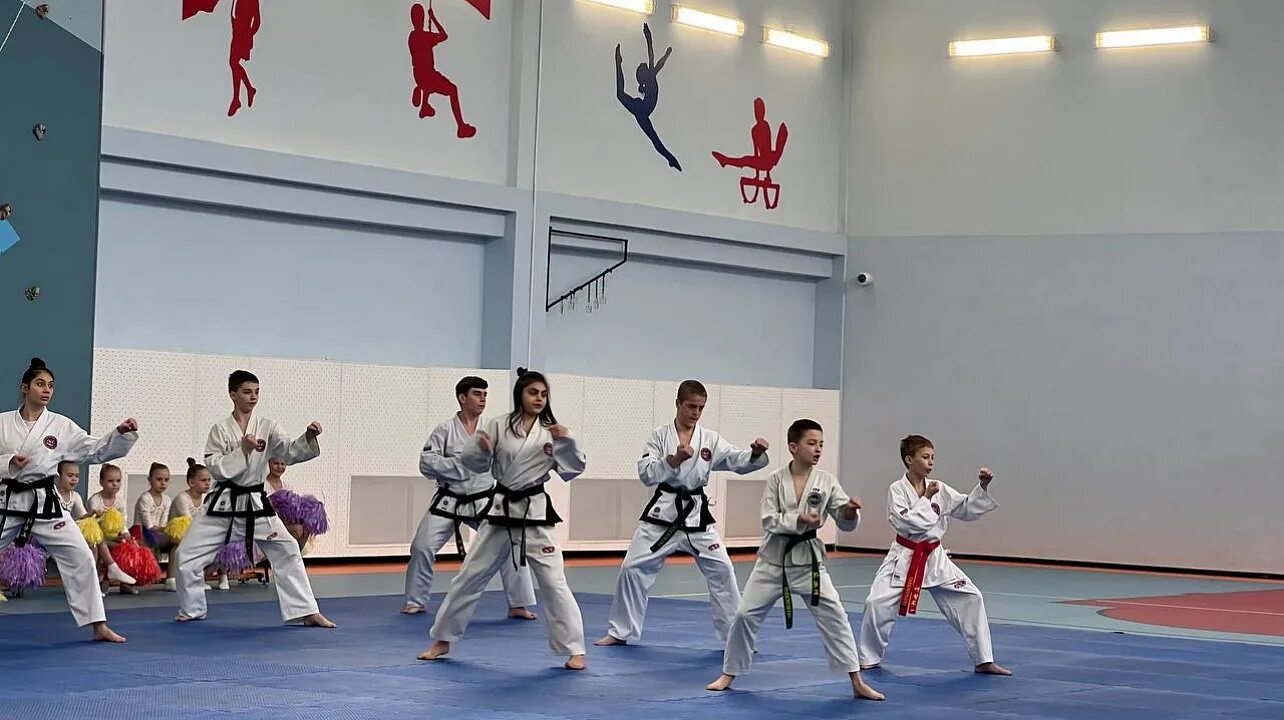 Боевые искусства краснодар. Боевые искусства краснодар. Таидо единоборство краснодар. Клуб единоборств гром, звенигород. Юрий станиславович клуб раш краснодар.