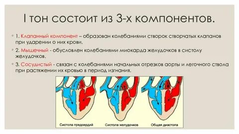 Тонах состоит из