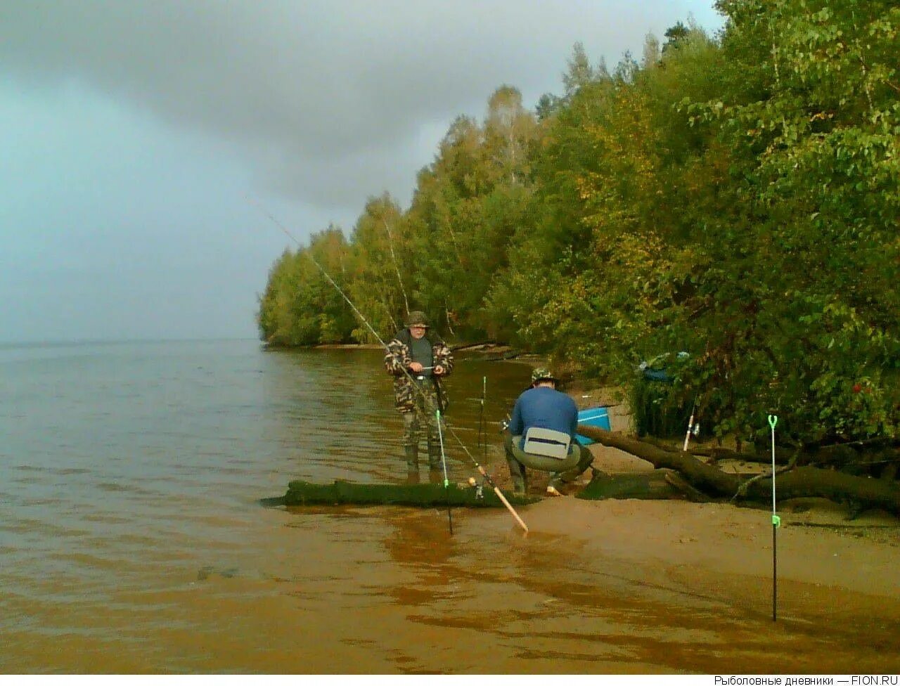Горьковское вдхр. Рыбалка на горьковском море. Горьковское водохранилище рыбалка. Рыбалка на горьковском море. Летняя рыбалка на горьковском море.