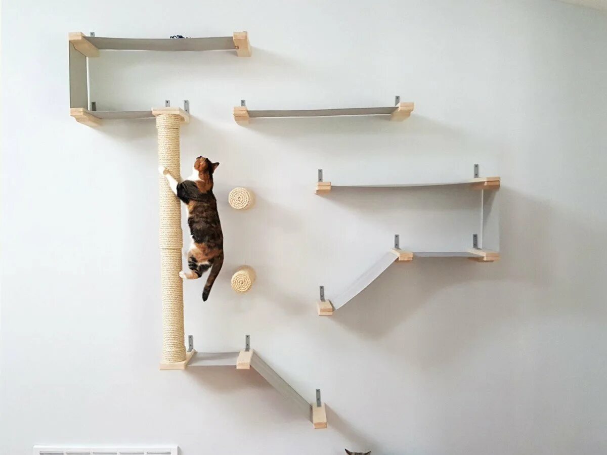 Настенный дом для кошки. Кошачья лазалка дерево. Полки для кошек. Для кошки настенный своими руками. Настенный домик для кошки.