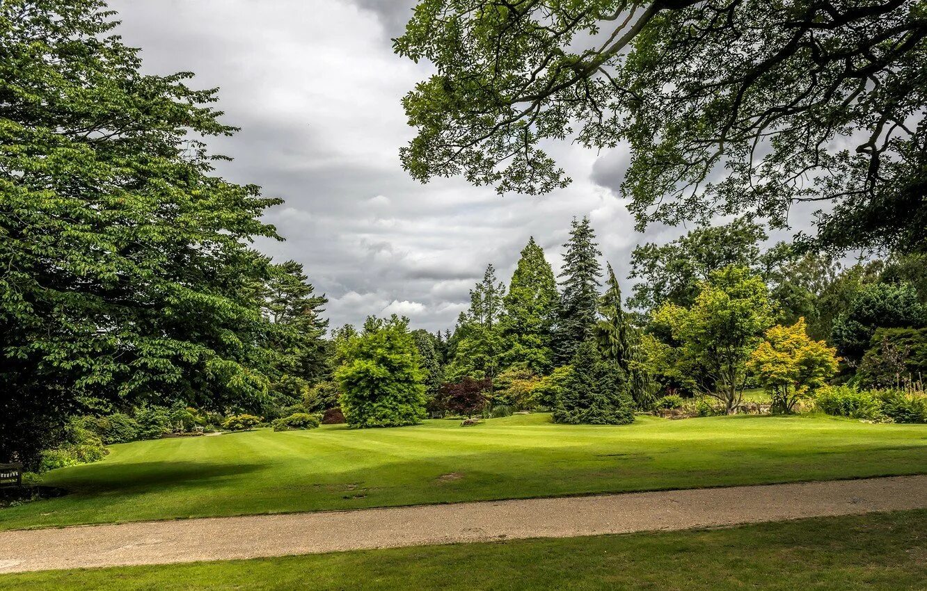 Uk parks. Грин парк Англия. Деревья на газоне. Панорама деревья. Лужайка с деревьями.