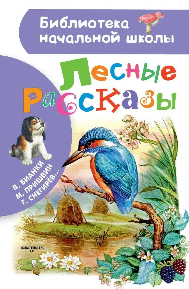 Книга лесные рассказы. Книга природа. Лесные рассказы книга. Книги о природе для детей. Детские книги о природе.