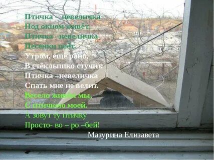 Живет под окном