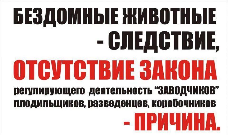 Законность значок. Отсутствие закона иллюстрации. Отсутствие законов. Отсутствие закона картинка. Государственность законность и честь дзержинского.