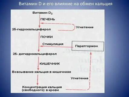 Влияние витамина д