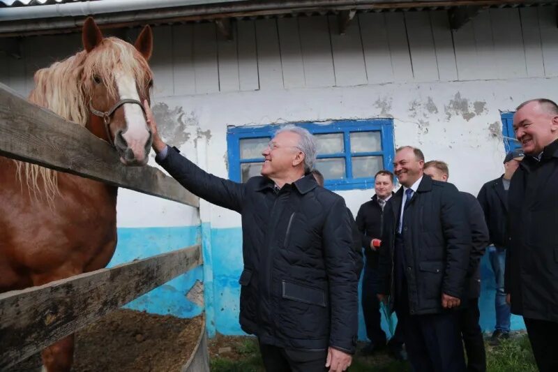 ОПХ СОЛЯНСКОЕ Рыбинский район. Село новая солянка Рыбинский район Красноярский край. Новая солянка Рыбинского района. ОПХ СОЛЯНСКОЕ Красноярский край.