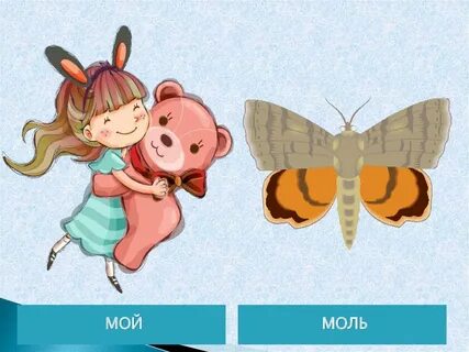 Звуки моли