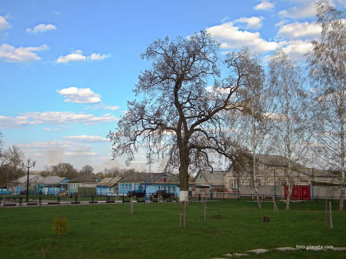 Села корочанского района. Село Анновка Корочанский район. Анновка Корочанский район Белгородская область. Село Анновка Корочанского района Белгородской области. Село Поповка Белгородская область Корочанский район.