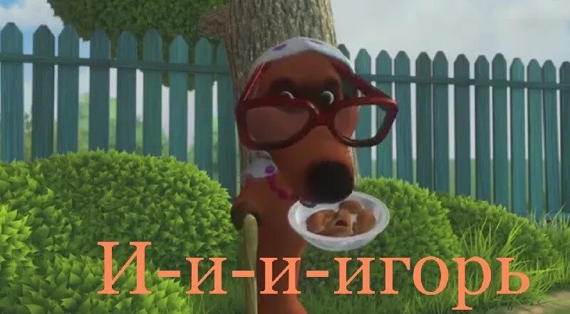 Приколы про игоря смешные. Видео про игоря. Приколы про игоря в картинках. Фестиваль хамсы в новороссийске 2022. Приколы про игоря в картинках.