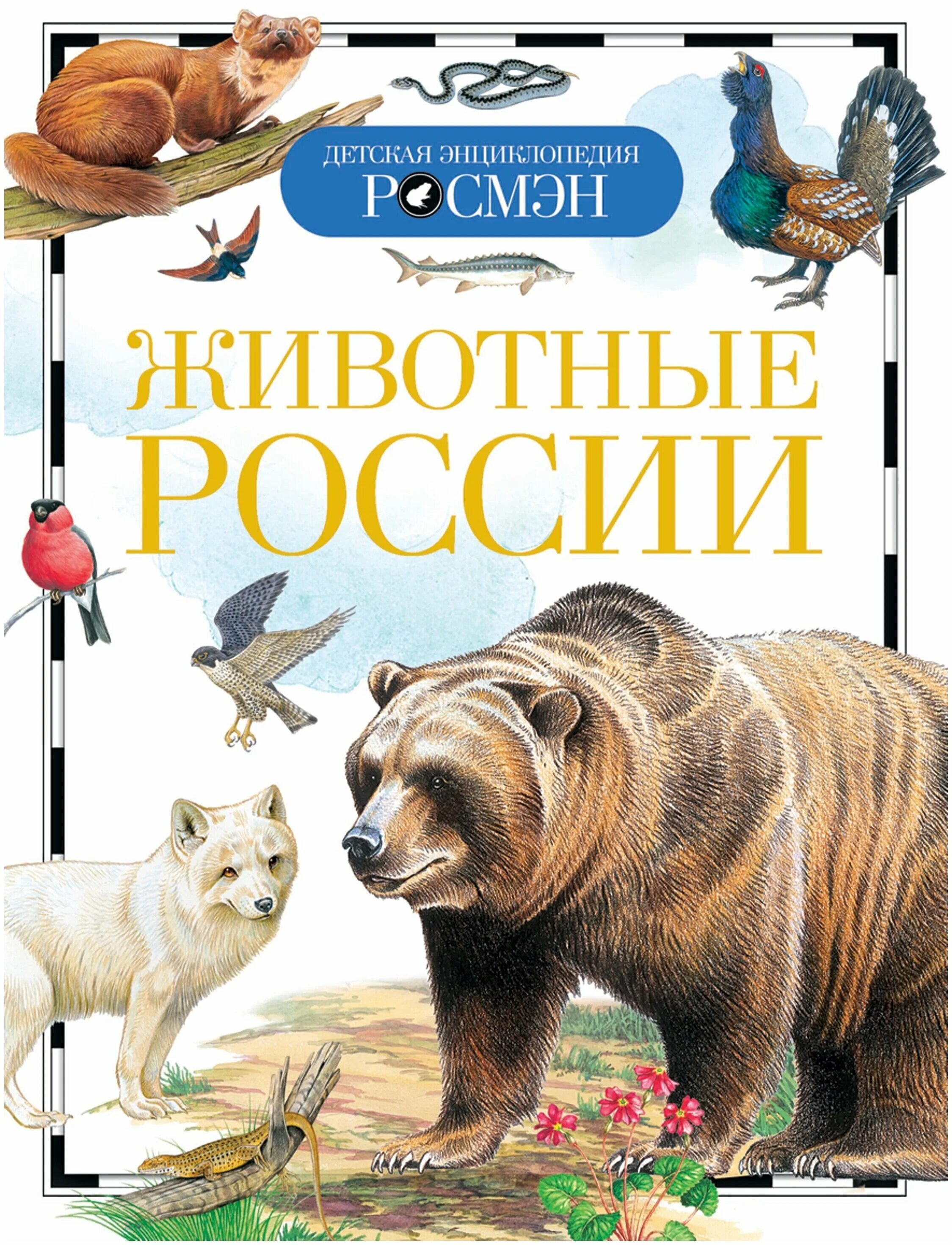 Тихонов красная книга росмэн 2002. Книги о животных для детей. Животные энциклопедия удивительных фактов. К. Энциклопедия животных.