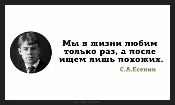 И не ахай жизнь держи как коня. Цитаты Сергея Есенина. Цитаты Есенина. Цитаты Есенина в картинках.