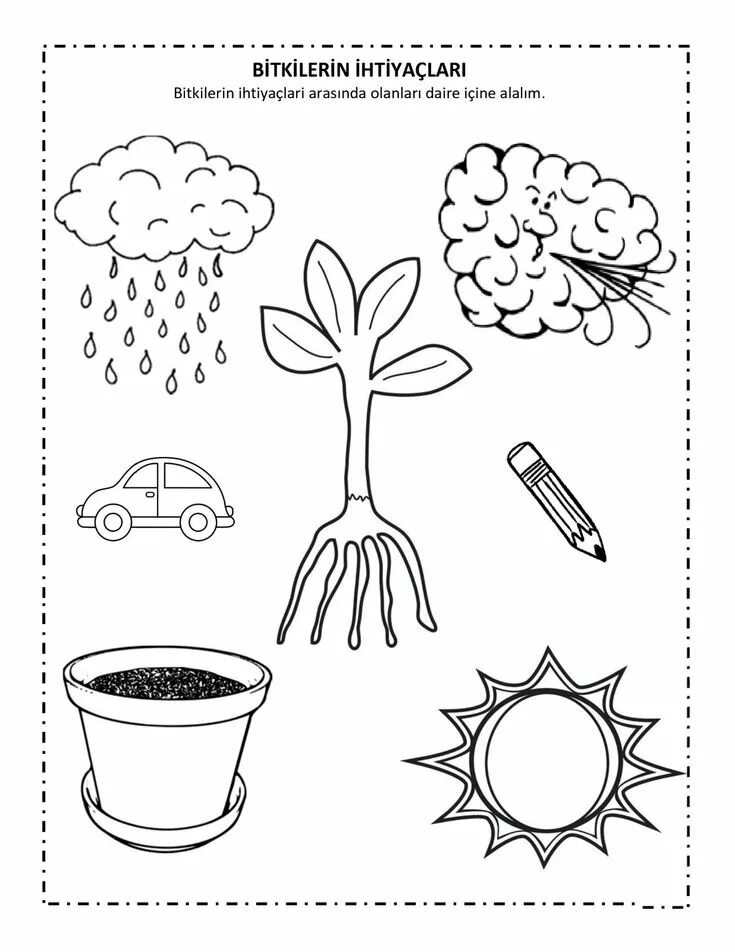 Plants Worksheets. Задания на урок растения. Сад Worksheets for Kids. Growing Plants Worksheets. Plants task