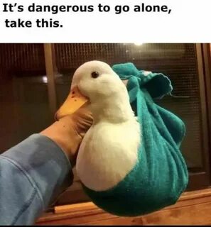 Take alone