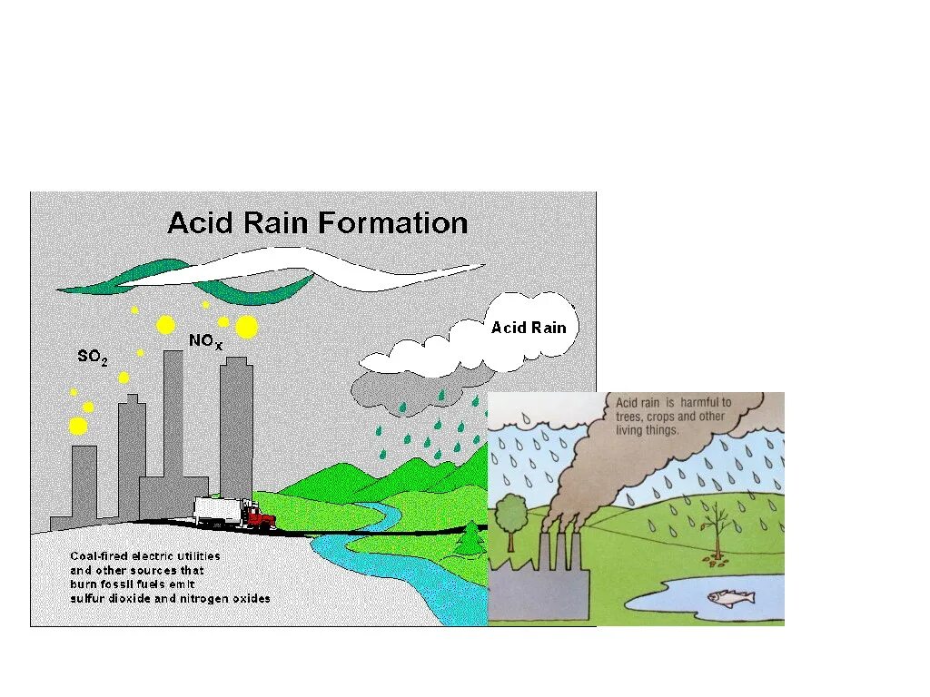 Acid rain portal