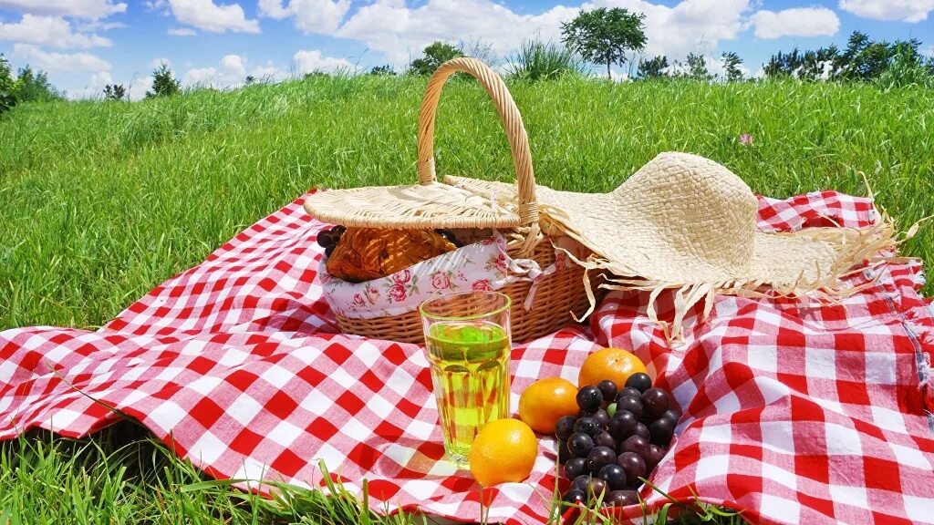 To be on a picnic