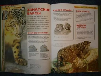 Детская энциклопедия кошки