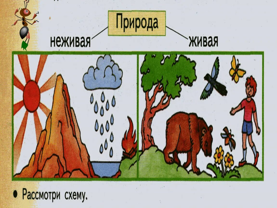 Рисунок живой неживой природы. Живая и не мивая природа. Рисунок Живая и неживая природа. Неживая природа рисунок. Тема Живая и неживая природа.