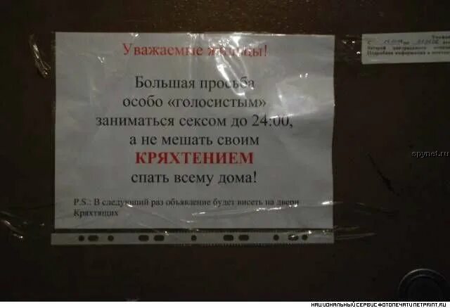 Я убью соседей что мешают спать текст. Я убью соседей что мешают спать текст