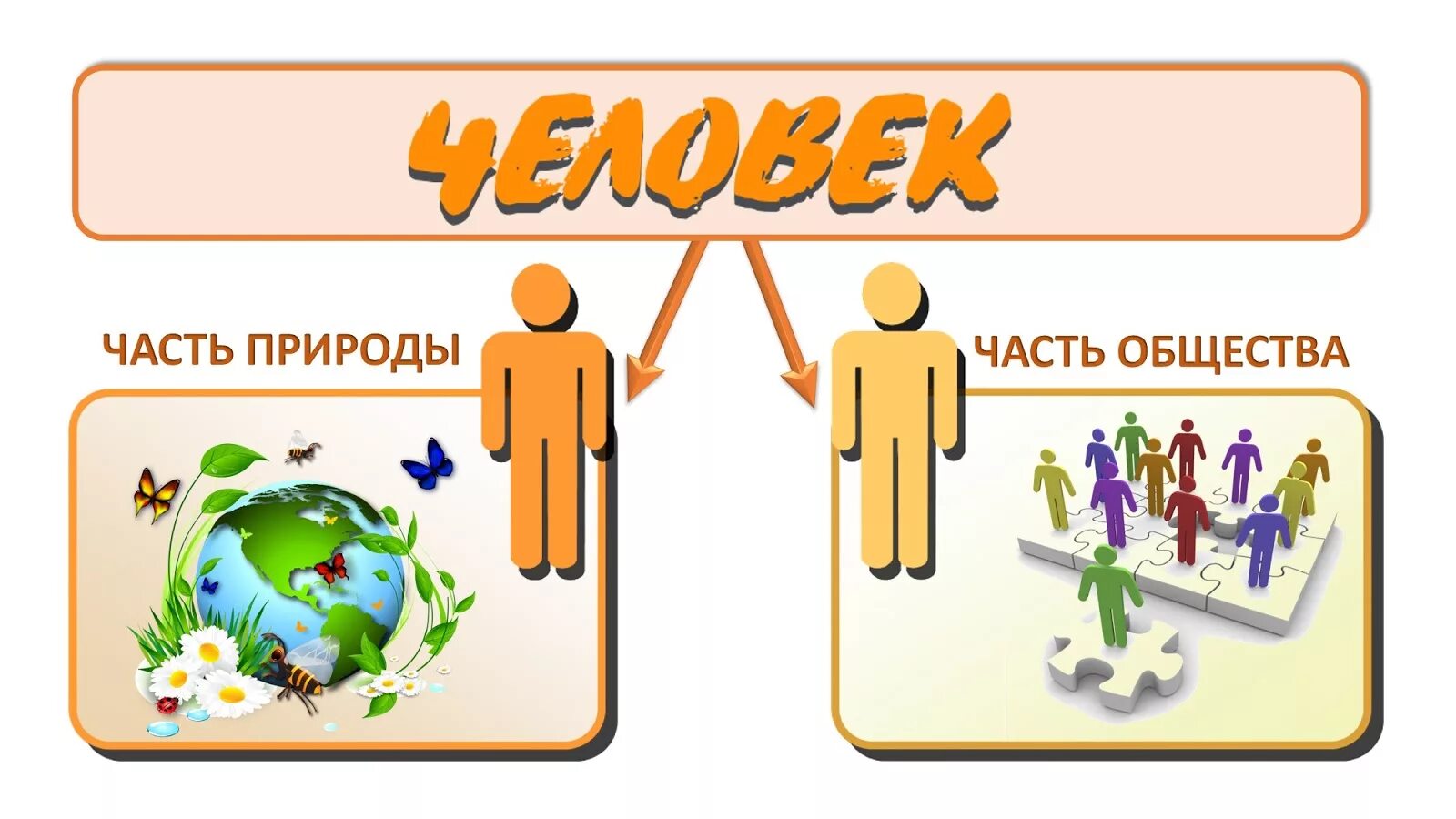 Окр мир общество. Человек часть природы. Человек часть природы и общества. Человек часть живой природы. Человек часть общества.