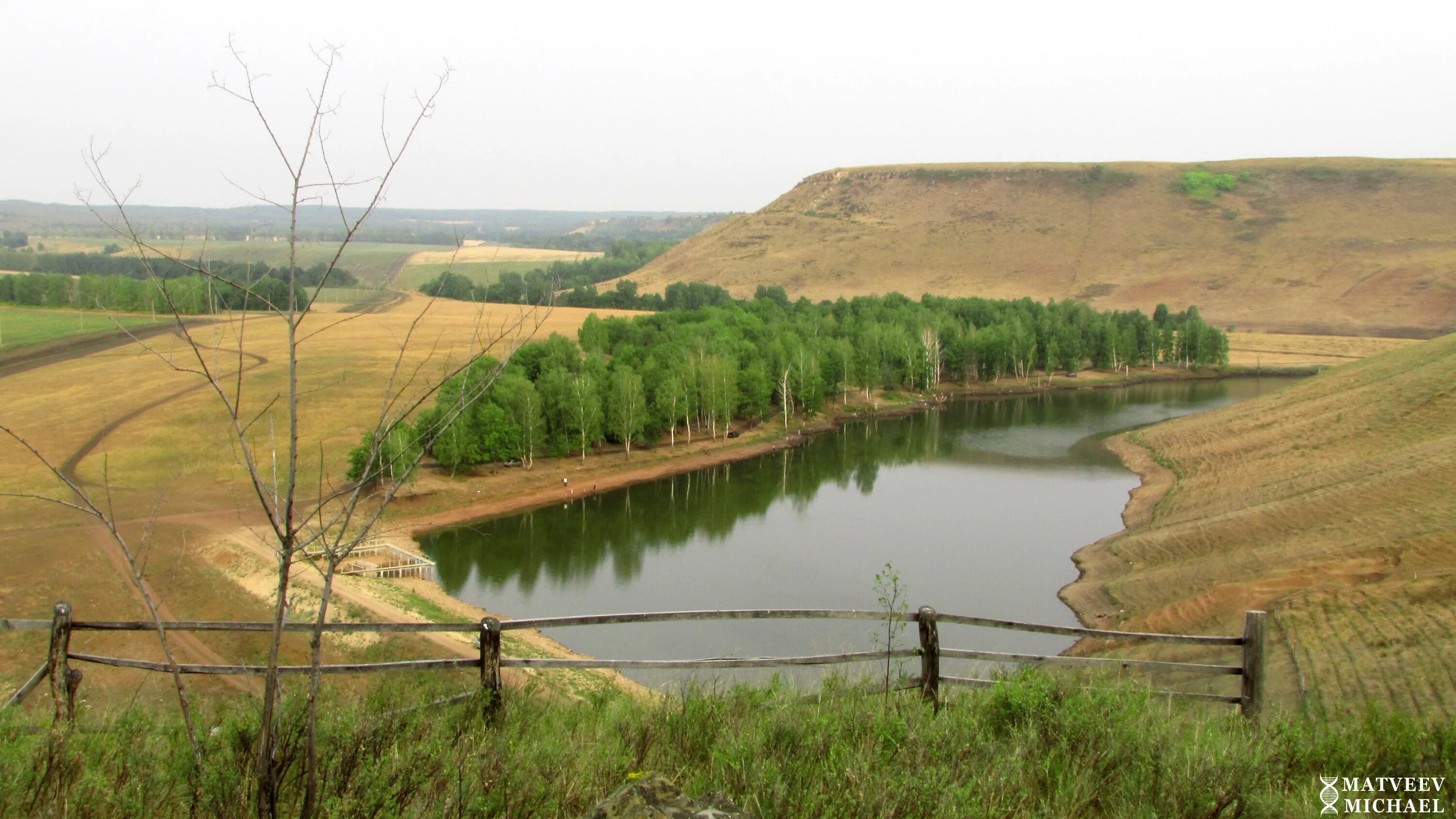 Ташла гафурийский. Ташла гафурийский